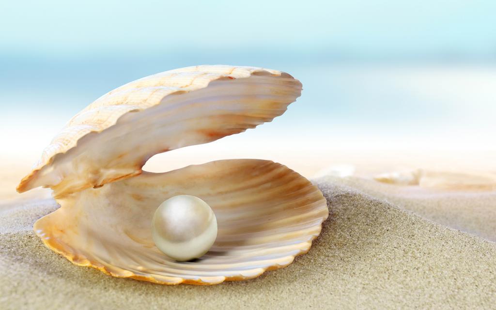 Die Perle Zandvoort Værelse billede